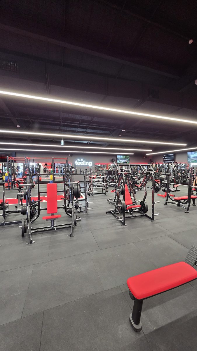 Finished weights floor with linear lighting and illuminated signage on the far wall